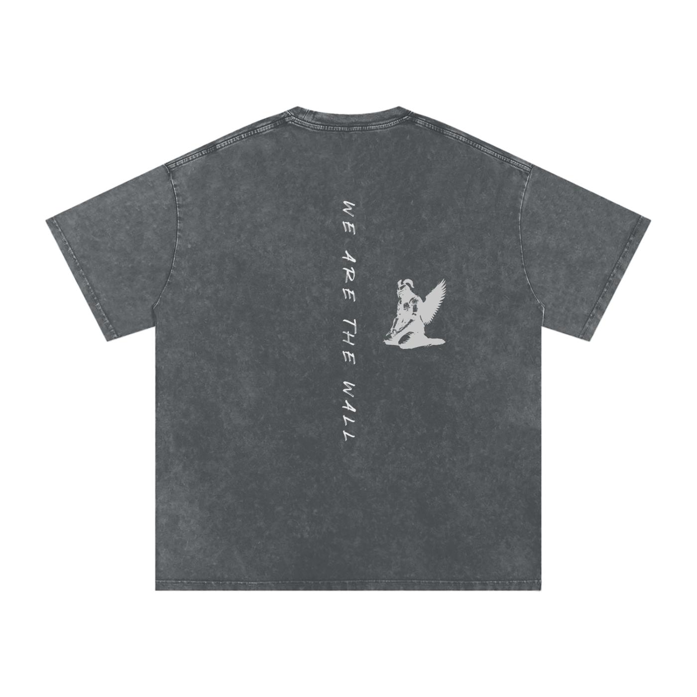 WE ARE THE WALL - SNOW WASHED oversized tee
