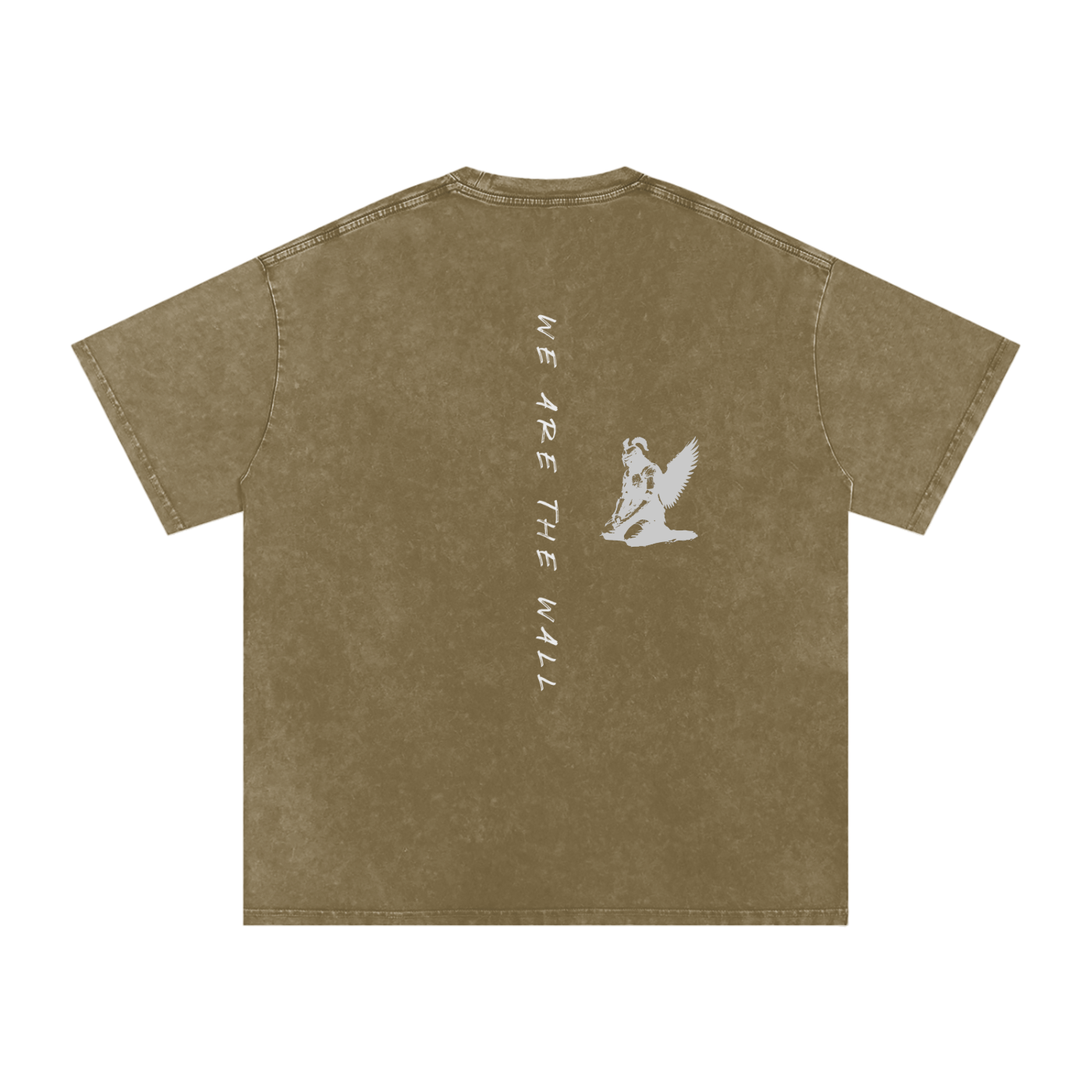 WE ARE THE WALL - SNOW WASHED oversized tee