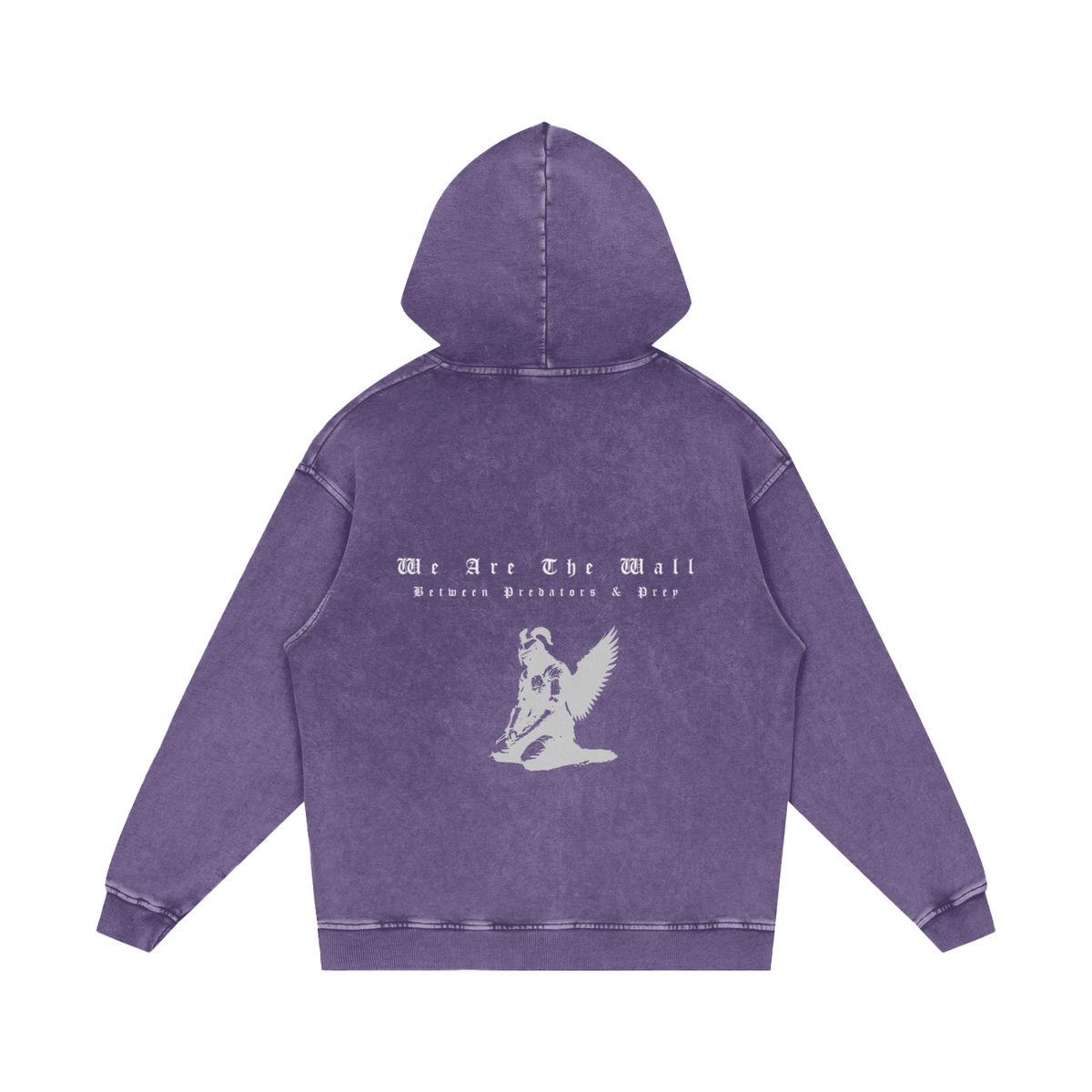 WE ARE THE WALL - SNOW WASHED PULLOVER HOODIE
