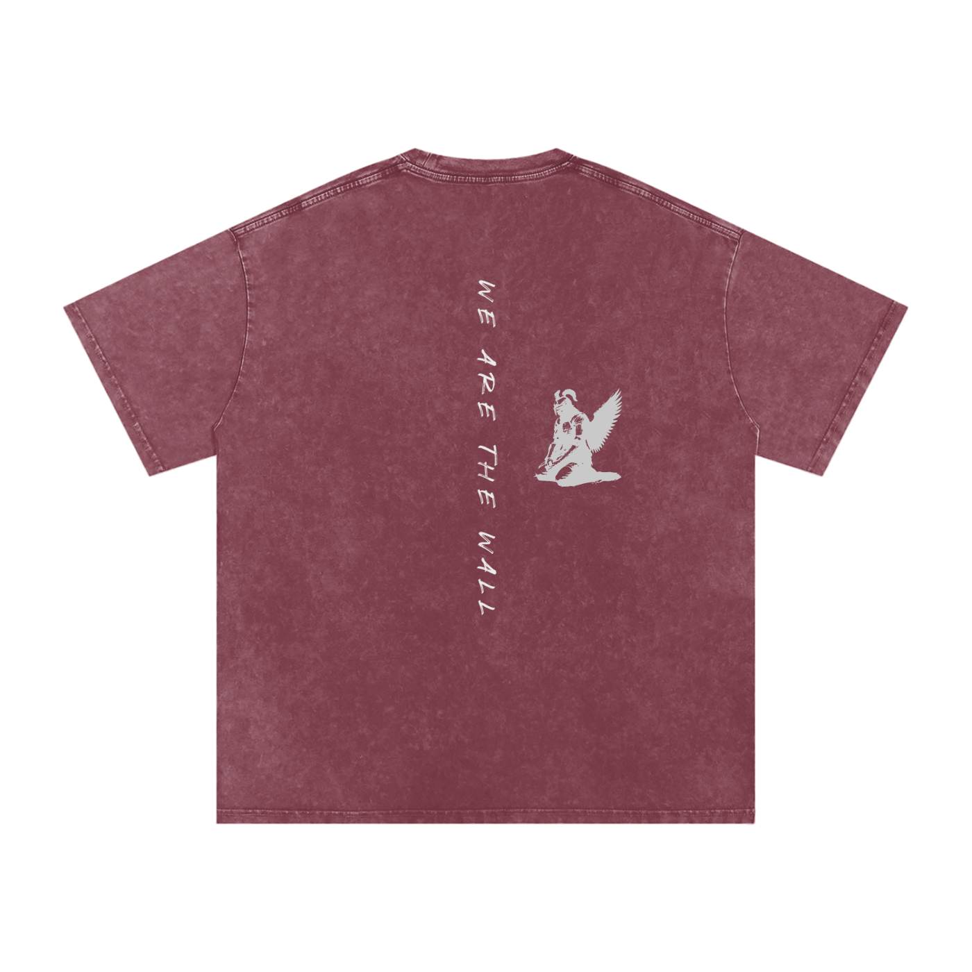 WE ARE THE WALL - SNOW WASHED oversized tee