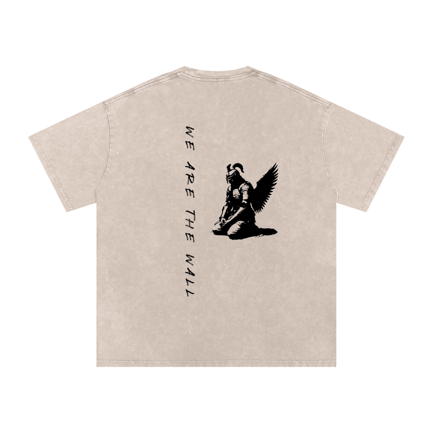 WE ARE THE WALL - SNOW WASHED PUMP COVER