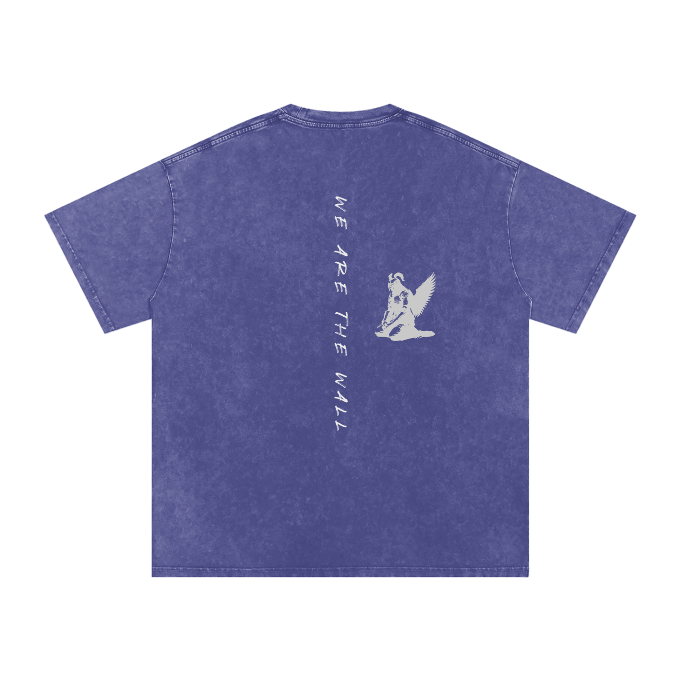 WE ARE THE WALL - SNOW WASHED oversized tee